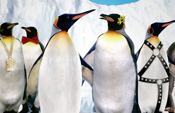 Farce of the Penguins (2007) - StreamingGuide.ca