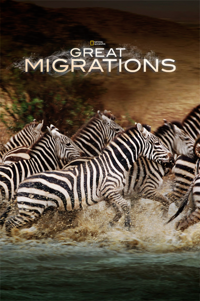 Great Migrations - Miniseries (2010) - StreamingGuide.ca