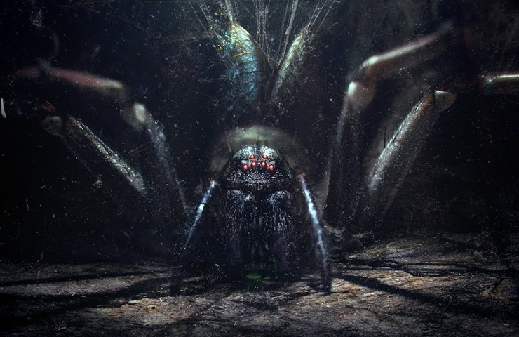 Spider in the Attic (2021) - StreamingGuide.ca