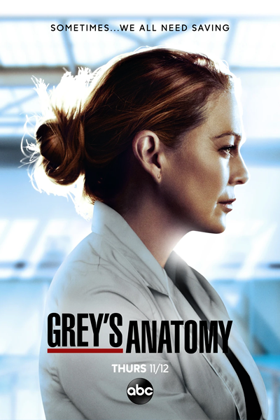 Grey's Anatomy - Season 17 (2020) - StreamingGuide.ca