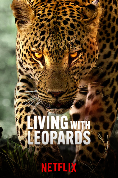 Living with Leopards (2024) - StreamingGuide.ca