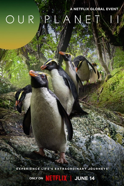Our Planet II (2023) | New on Netflix Canada | Streaming Guide Canada