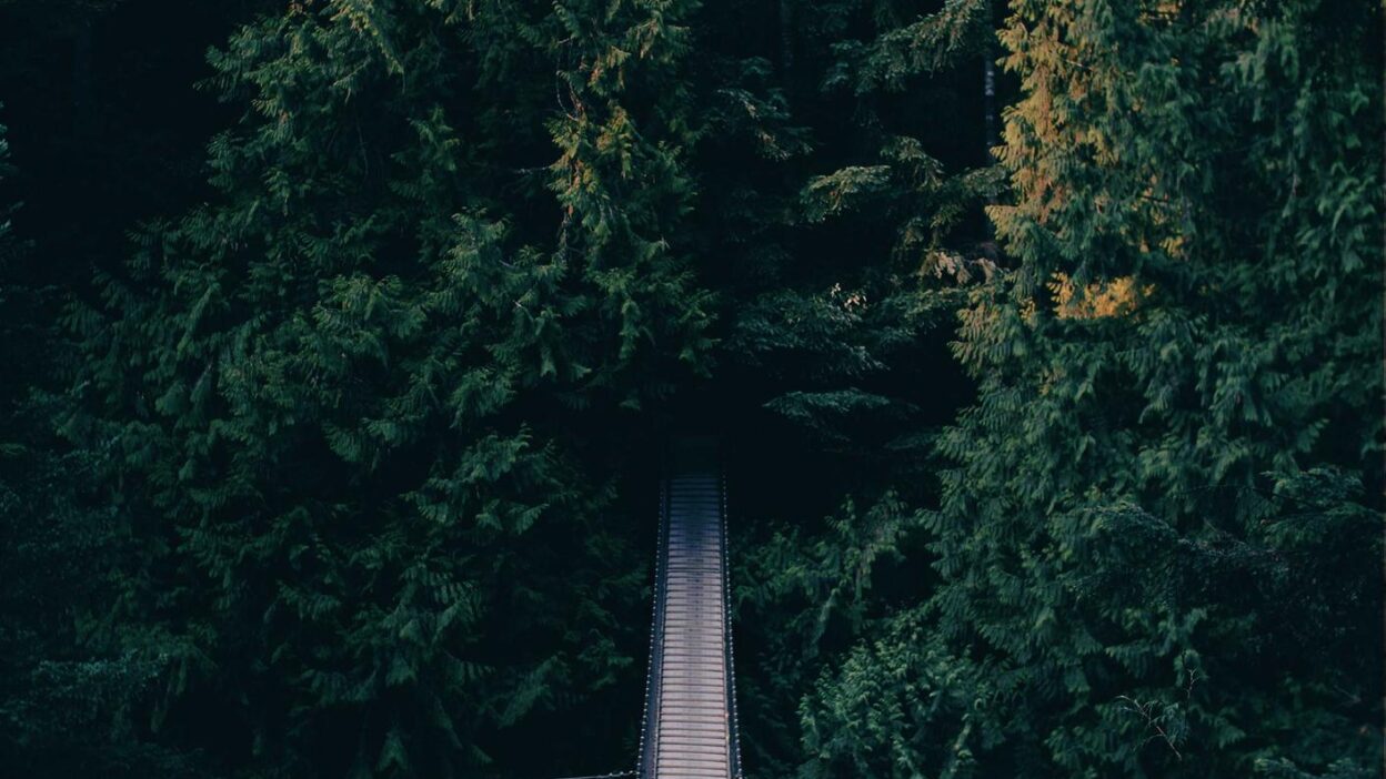 StreamingGuide.ca