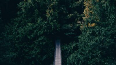 StreamingGuide.ca